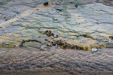 Image showing Water on geothermal surface