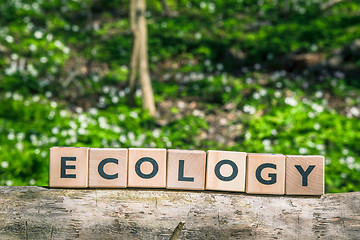 Image showing Ecology sign in the woods