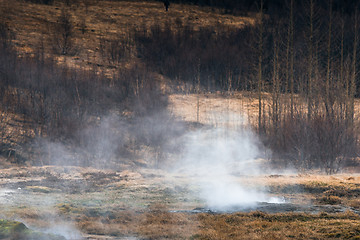 Image showing Boiling water on a field in Iceland