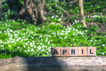 Image showing April sign in a green garden