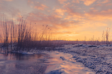 Image showing Frozen lake with grass silhouettes