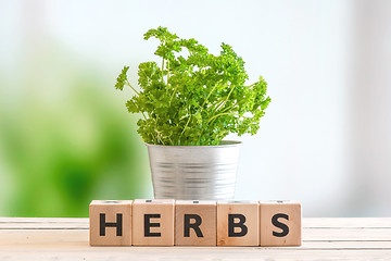 Image showing Herbs in a metal bucket