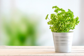 Image showing Parsley in a bucket on a table