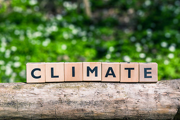 Image showing Climate message in a forest