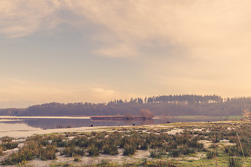 Image showing Lake scenery with grass