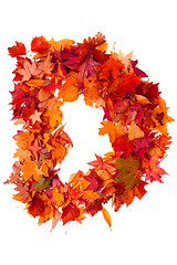 Image showing alphabet sign from autumn leaf 