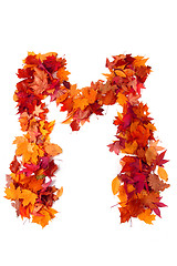 Image showing alphabet sign from autumn leaf 