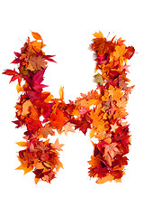 Image showing alphabet sign from autumn leaf 