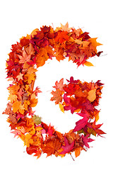 Image showing alphabet sign from autumn leaf 