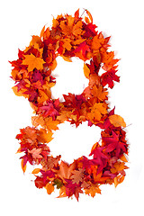 Image showing alphabet sign from autumn leaf 