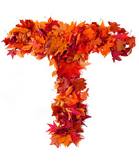 Image showing alphabet sign from autumn leaf 