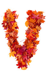 Image showing alphabet sign from autumn leaf 