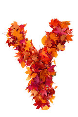 Image showing alphabet sign from autumn leaf 