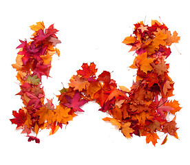 Image showing alphabet sign from autumn leaf 