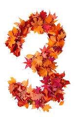 Image showing alphabet sign from autumn leaf 