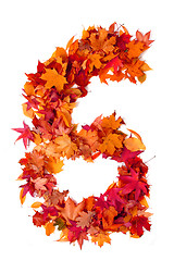 Image showing alphabet sign from autumn leaf 