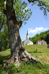 Image showing Orthodox church in Serbia