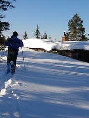 Image showing winter shaddow