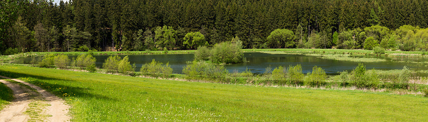 Image showing Beautiful summer rural landscape