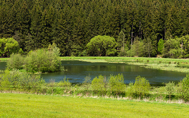 Image showing Beautiful summer rural landscape