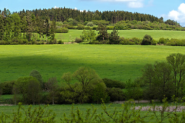 Image showing Beautiful summer rural landscape