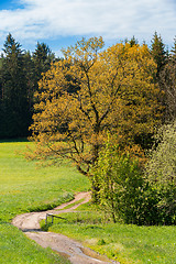 Image showing rural path with trees next to meadows