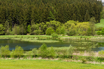 Image showing Beautiful summer rural landscape