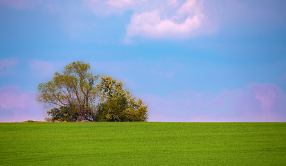 Image showing Beautiful summer rural landscape