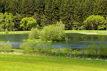 Image showing Beautiful summer rural landscape