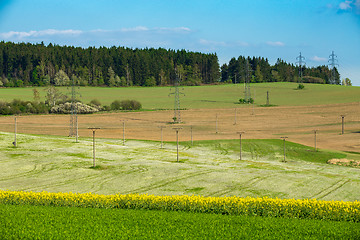 Image showing Beautiful summer rural landscape