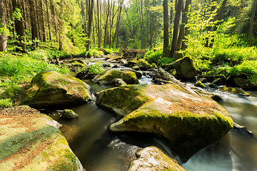 Image showing small wild river in Bohemian forest 