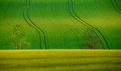 Image showing Beautiful summer rural landscape lines