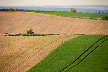 Image showing Beautiful summer rural landscape