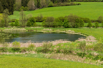 Image showing Beautiful summer rural landscape