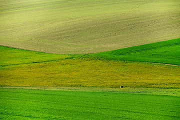 Image showing Beautiful green spring rural landscape