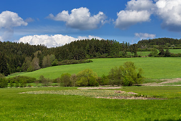 Image showing Beautiful summer rural landscape