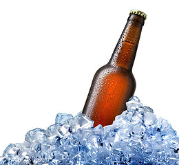 Image showing Bottle of beer in ice