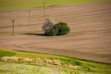 Image showing Beautiful summer rural landscape