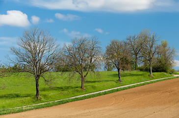 Image showing Beautiful summer rural landscape