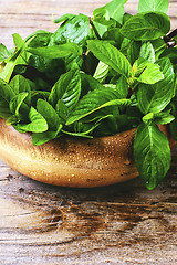 Image showing Fragrant mint leaves