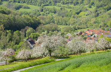 Image showing Kocherstetten in Hohenlohe