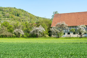 Image showing Baechlingen in Hohenlohe