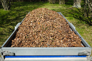 Image showing Dry leaves loaded in a small trailer