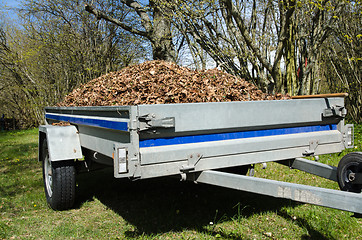 Image showing Small trailer loaded with dry leaves