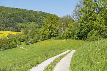 Image showing field path at spring time