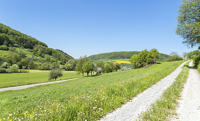 Image showing field path at spring time