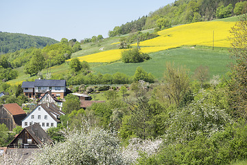 Image showing rural springtime scenery