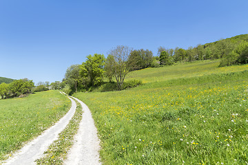 Image showing field path at spring time