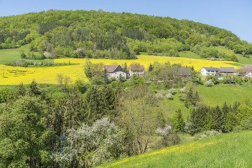 Image showing rural springtime scenery