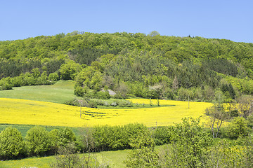 Image showing rural springtime scenery